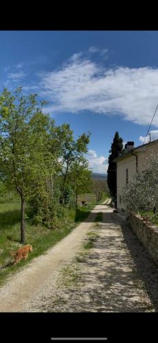 Paesaggio naturale nelle vicinanze dell'appartamento