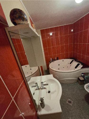 a bathroom with a sink and a toilet and a mirror at Stan na Dan Cazin in Ivišovo Greblje