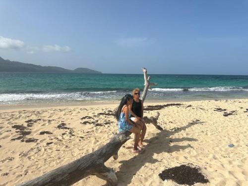 a man and a woman sitting on a log on the beach at Dreamvilles Ecovillage Las Galeras in Las Galeras
