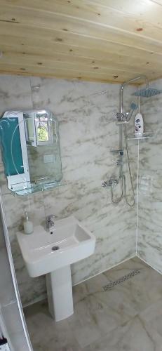 a bathroom with a sink and a shower at Bujtina Sherifaj in Valbonë