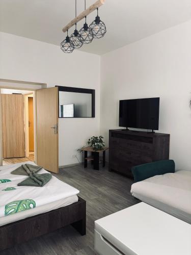 a room with two beds and a flat screen tv at Ubytování Stará in Ústí nad Labem