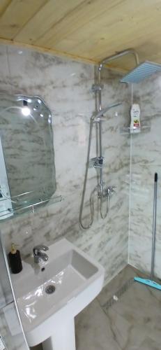 a bathroom with a sink and a mirror at Bujtina Sherifaj in Valbonë