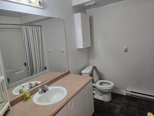 Ένα μπάνιο στο D's Place Hull Gatineau-Ottawa with Free Parking