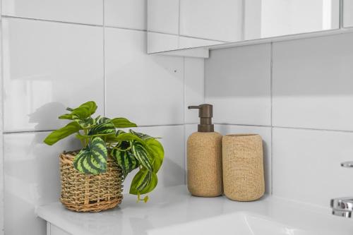a bathroom with two bottles and a plant on a counter at 2 Bedroom House Darling Harbour Good for 6 Guests in Sydney