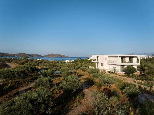 Villa Elounda Lion, 2 Pools, Hammam & & Close to Sea, By ThinkVilla