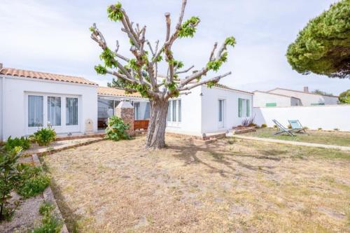 un arbre dans la cour d'une maison dans l'établissement Nice family house - Le Bois-Plage en Ré, au Bois-Plage-en-Ré