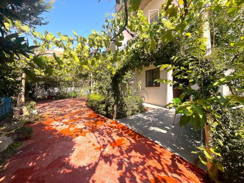 Studios in Jonis House