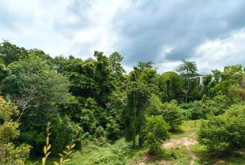 a forest filled with trees on a cloudy day at Amazing La Green 10 min walk to Layan Beach in Layan Beach
