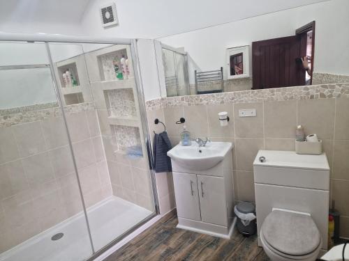 a bathroom with a shower and a toilet and a sink at Joiners Arms - Studio Apartments in Market Drayton
