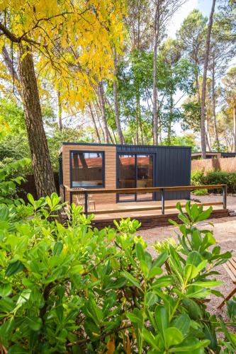 Κήπος έξω από το Cabañas del bosque Sacedón