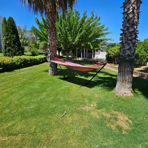 a hammock between two palm trees in a yard at Evia Palm Beach Villa in Politiká