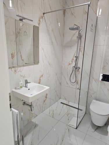 a bathroom with a shower and a sink and a toilet at Future Apartments in Giroc