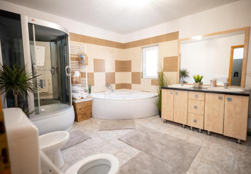 a bathroom with a tub and a toilet and a sink at Aly&Emy 2 in Caransebeş