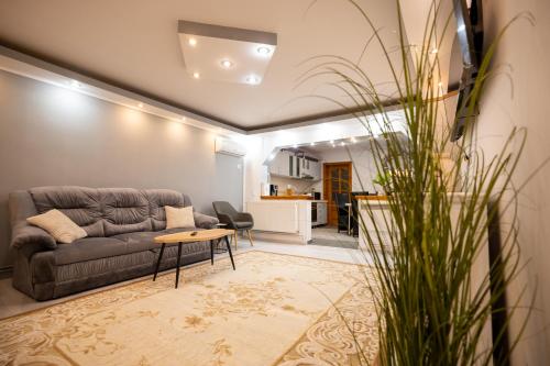 a living room with a couch and a table at Aly&Emy 2 in Caransebeş