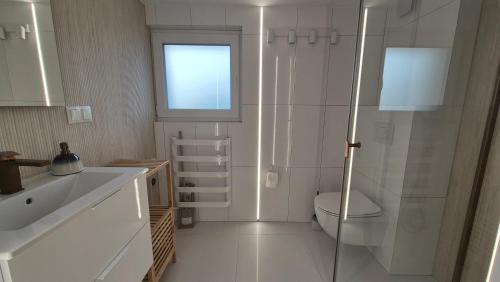 a bathroom with a shower and a toilet and a window at Apartamenty Bujowy in Ustroń