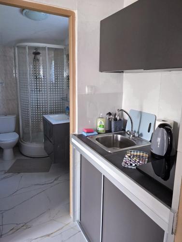 a kitchen with a sink and a toilet in a bathroom at Szumi domek in Kołobrzeg