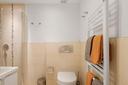 a small bathroom with a toilet and a shower at Müllerjörgenhof in Gutach