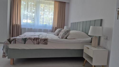 a bedroom with a large bed with a window at Apartamenty Bujowy in Ustroń
