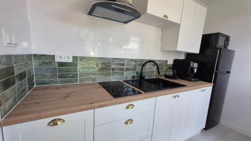 a kitchen with a sink and a black refrigerator at Apartamenty Bujowy in Ustroń
