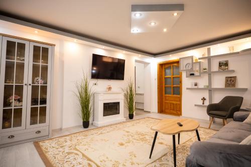 a living room with a couch and a fireplace at Aly&Emy 2 in Caransebeş