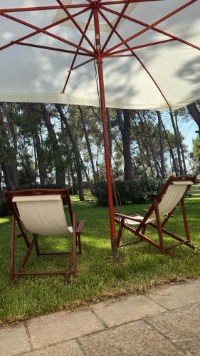 Φωτογραφία από το άλμπουμ του Masseria Frassaniti σε Veglie