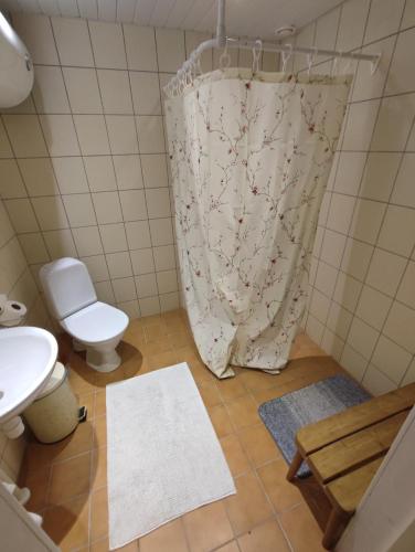 a bathroom with a toilet and a shower curtain at Pähklimäe Laagrikeskus in Vanamõisa
