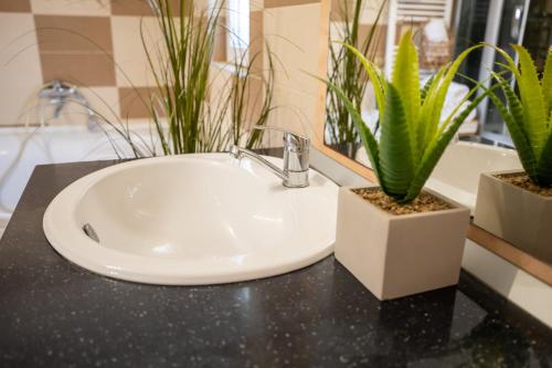 a bathroom sink with two potted plants on a counter at Aly&Emy 2 in Caransebeş