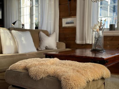 バイトストーレンにあるBjødnabakkens historieのソファとテーブルのあるリビングルーム