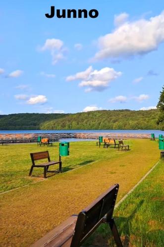 a group of benches in a park near a lake at Nocleg u garncarza in Kamienica Królewska