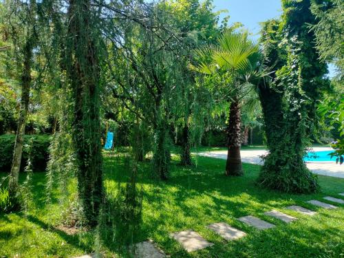 Κήπος έξω από το R3 - Casa da Aldeia - Monte Redondo