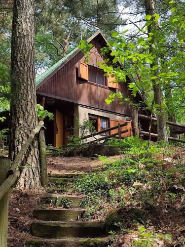 una cabaña en el bosque con escaleras que conducen a ella en Chata na vrcholu Boreckých skal, en Hnanice