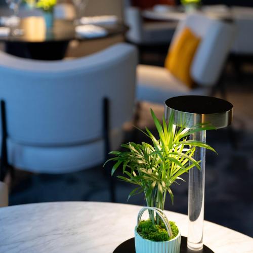 a plant in a vase on a table at Le Domaine Du Colombier in Malataverne