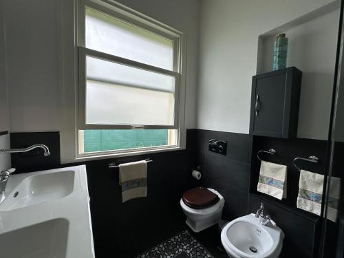 a bathroom with a sink and a toilet and a window at villa Landana in Intra