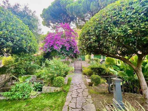 a garden with a walkway and a tree with pink flowers at La Porta sul Mare in Terracina