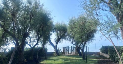 a group of trees with a gate in the grass at La Porta sul Mare in Terracina