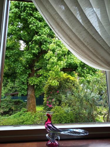 a bird statue sitting in front of a window at villa Landana in Intra