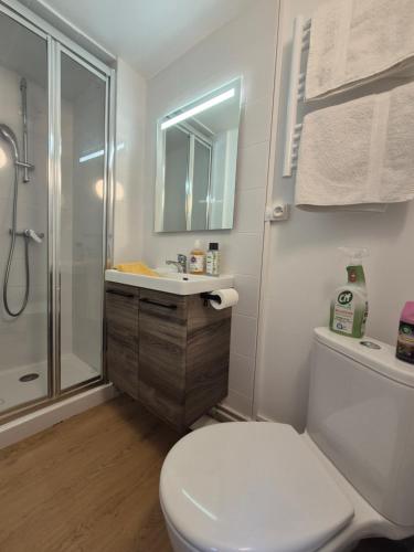 une salle de bain avec toilettes, lavabo et douche dans l'établissement Studio Rouen Hypercentre 2 personnes Le Terracotta, à Rouen