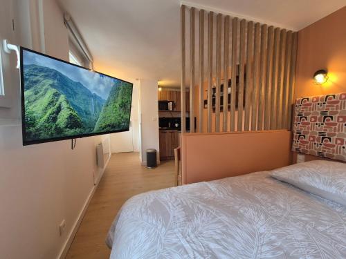 - une chambre avec une grande télévision murale à écran plat dans l'établissement Studio Rouen Hypercentre 2 personnes Le Terracotta, à Rouen
