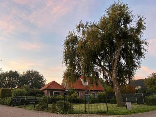 Ein Garten an der Unterkunft Equi Guidance Stay