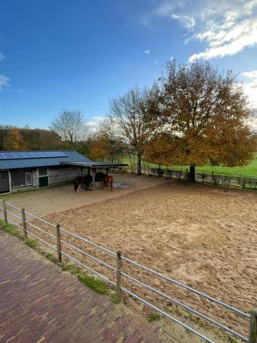 Galeriebild der Unterkunft Equi Guidance Stay in Wapenveld