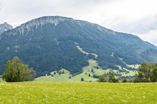 a mountain with a green field in front of it at Allgäuappartement In Pfronten in Pfronten