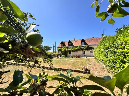 an apple tree in front of a house at Le Grand Bricoin - Campagne - Parking - 12 pers in Thorigné-sur-Dué
