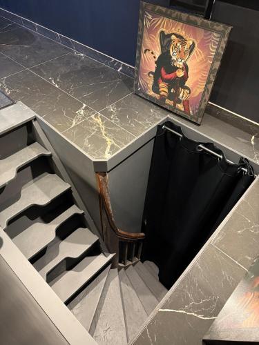 a set of stairs with a painting of a dog at BlackRoom - Balnéo - Ciel étoilé in Belfort