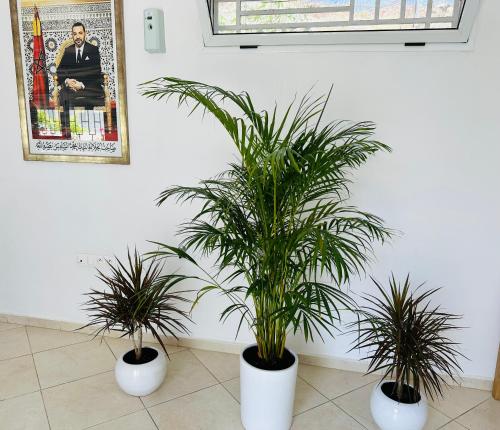 Gallery image of Auberge Noujoum Almaarifa in Tetouan