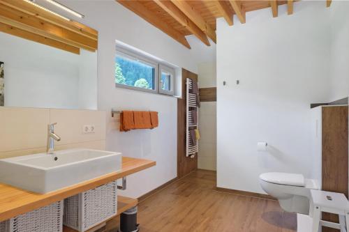 a bathroom with a sink and a toilet at Müllerjörgenhof in Gutach
