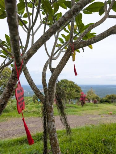 a tree with redbons hanging from the branches at 4 Simple Minimalistic Rooms at Sunset Lodge - Eco Valley Retreat 豐之谷 in Balung