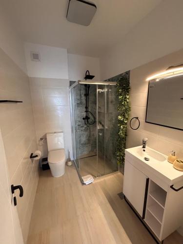 a bathroom with a shower and a toilet and a sink at Yaio Penthouse in Agigea