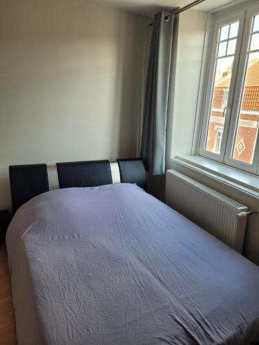 Photo de la galerie de l'établissement Lille près du CHU Lille, à Lille