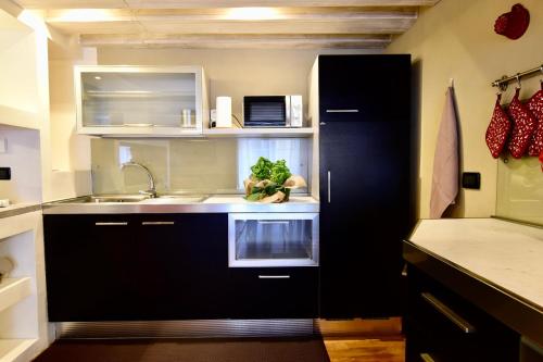 Kuchyň nebo kuchyňský kout v ubytování Luxury Cernaia Home alloggio di charme in palazzo dei Rolli centralissimo