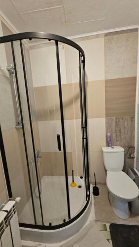 un bagno con doccia e WC al suo interno di Domowe Zacisze a Szamotuły